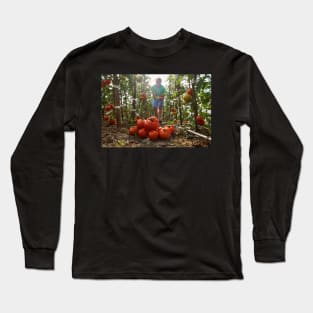 Caucasian farmer picking tomatoes Long Sleeve T-Shirt